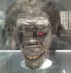 2001 ape head